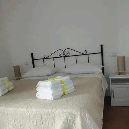 Bed & Breakfast Flower *